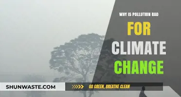 Pollution's Devastating Impact: Accelerating Climate Change and Environmental Degradation