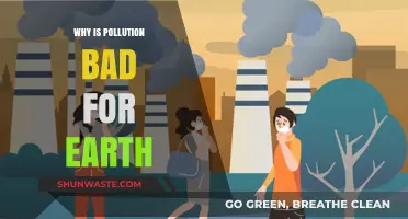 Pollution's Devastating Impact: How It Harms Our Planet and Future