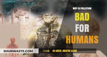 Pollution's Devastating Impact: How It Harms Human Health and Well-being