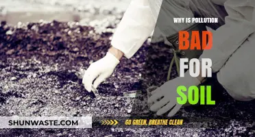 Pollution's Devastating Impact: How Contaminants Destroy Soil Health and Fertility