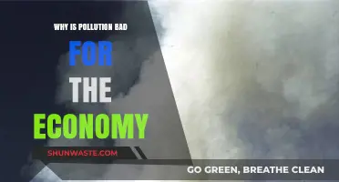 Pollution's Economic Toll: How Environmental Damage Hurts Financial Growth