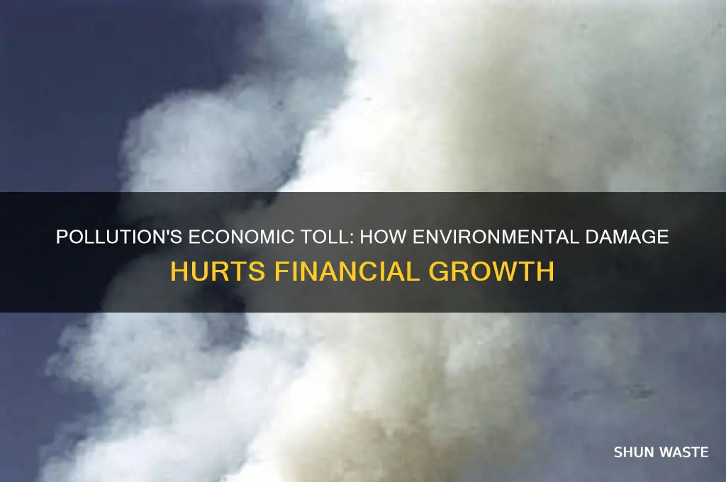 why is pollution bad for the economy