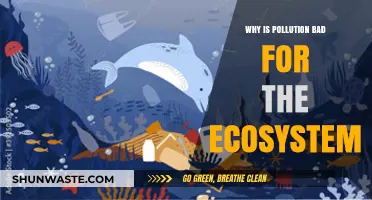 Pollution's Devastating Impact: How It Destroys Ecosystems and Wildlife