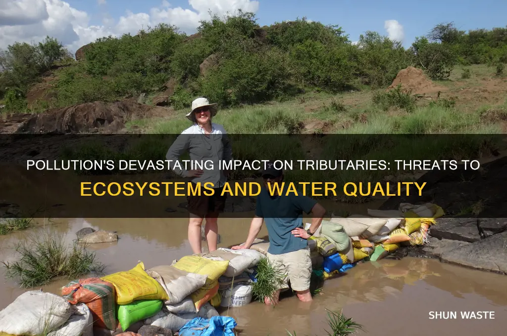 why is pollution bad for tributaries