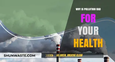 Pollution's Hidden Dangers: How It Harms Your Health and Well-being