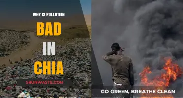 Understanding the Devastating Impact of Pollution on Chile's Environment and Health