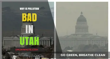 Utah's Air Crisis: Understanding the Devastating Impact of Pollution
