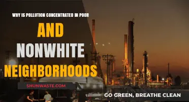Environmental Injustice: Why Pollution Targets Poor, Nonwhite Communities