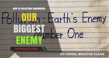 Pollution: The Silent Enemy Threatening Our Planet's Survival