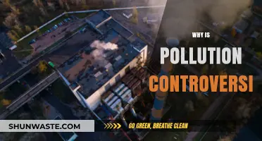 Pollution's Paradox: Unraveling the Controversies Surrounding Environmental Degradation