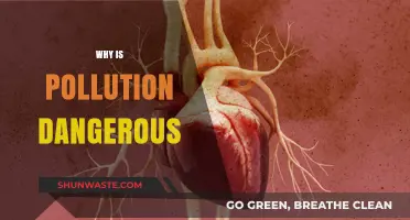 Pollution's Deadly Impact: Understanding the Hidden Dangers to Our Health
