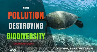 Pollution's Devastating Impact: How Contaminants Are Erasing Earth's Biodiversity