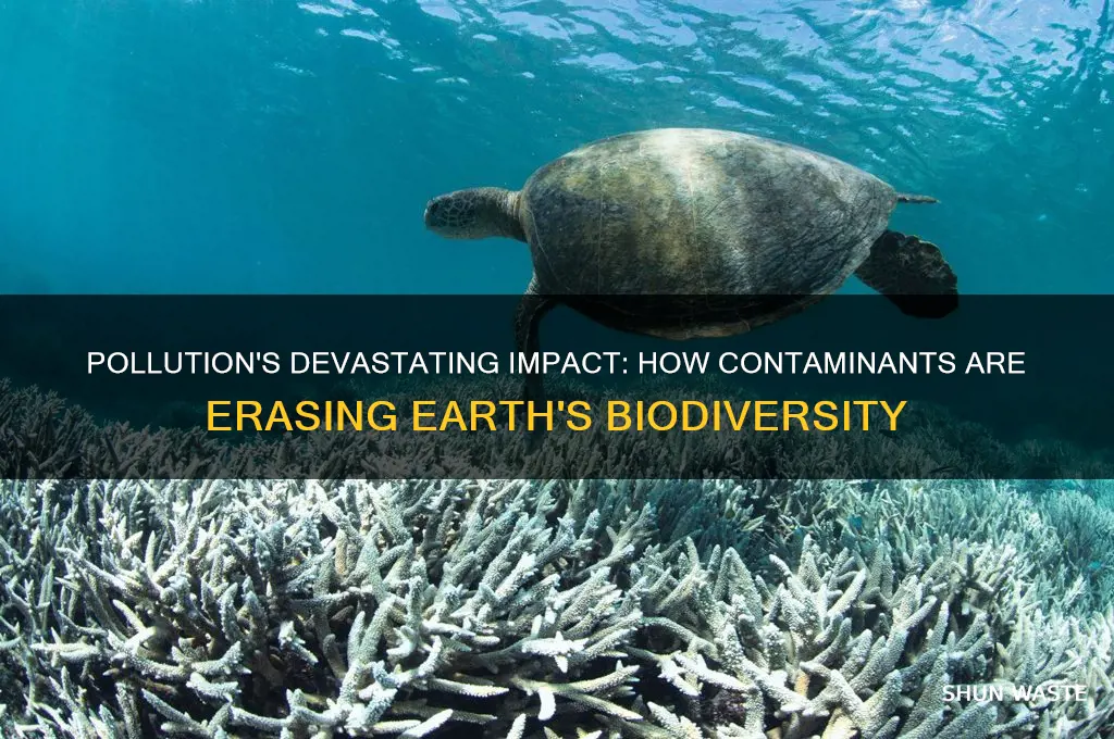 why is pollution destroying biodiversity