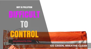 The Complex Challenge of Controlling Pollution: Barriers and Solutions