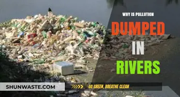 Why Industries and Communities Dump Pollution in Rivers: A Deep Dive