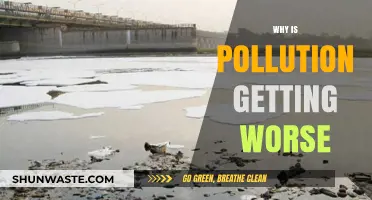 Escalating Pollution Crisis: Causes, Consequences, and Urgent Solutions Needed