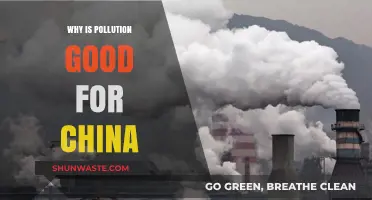 Pollution's Paradox: How China's Environmental Crisis Fuels Economic Growth