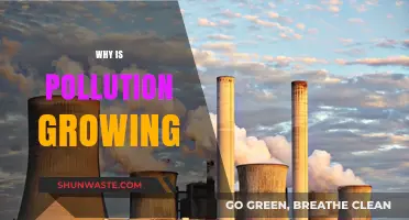 Uncontrolled Industrialization and Urbanization: The Root Causes of Growing Pollution