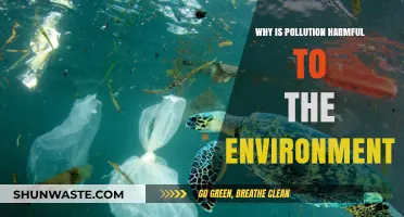 Pollution's Harm: Toxic Impact on Our Environment