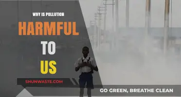 Pollution's Deadly Impact: How It Harms Our Health and Environment