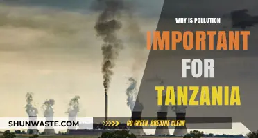Understanding Pollution's Impact on Tanzania's Environment, Health, and Economy