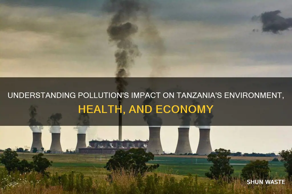 why is pollution important for tanzania