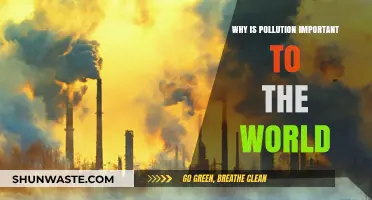 Understanding Pollution's Global Impact: Why It Matters to Our World