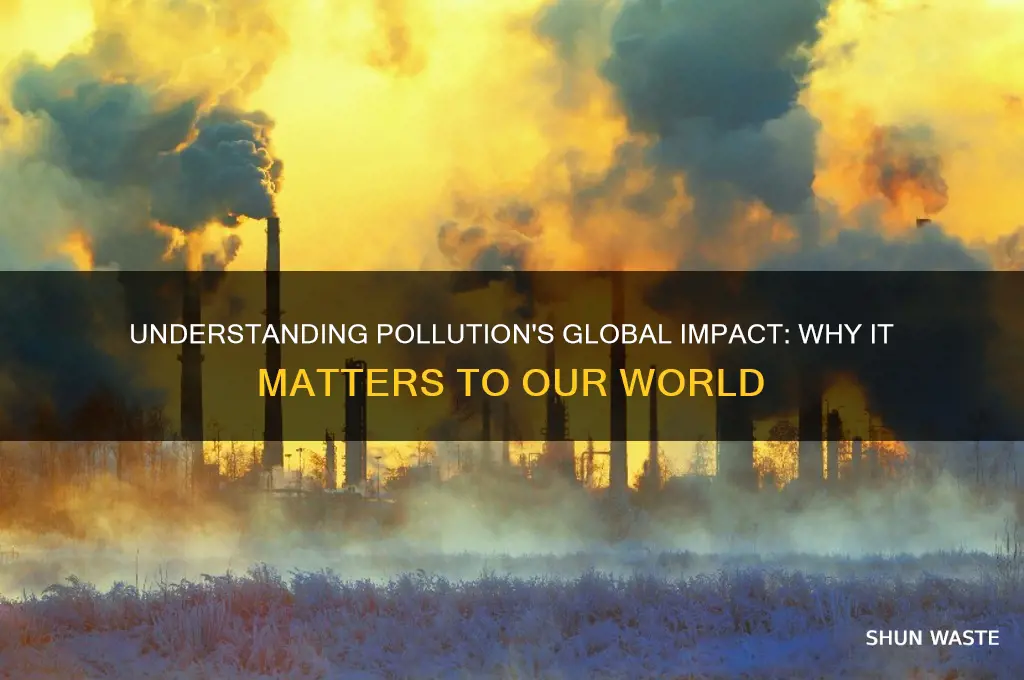 why is pollution important to the world