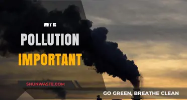 Understanding Pollution: Impact and Prevention