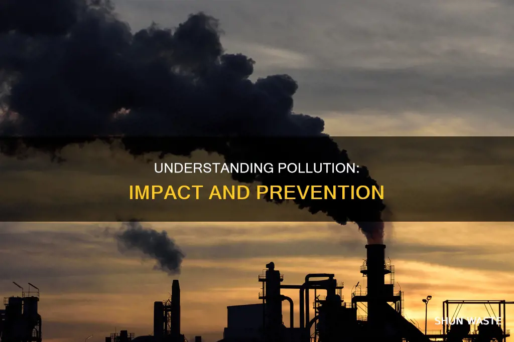why is pollution important