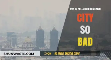 Mexico City's Pollution Crisis: Causes, Impacts, and Urgent Solutions