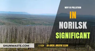 Norilsk's Pollution Crisis: Global Impact and Urgent Environmental Significance