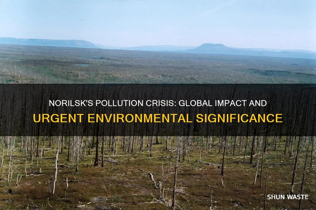 why is pollution in norilsk significant