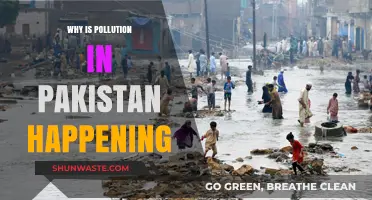 Understanding Pakistan's Pollution Crisis: Causes, Impacts, and Urgent Solutions