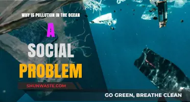 Ocean Pollution: A Social Crisis Threatening Our Planet and Communities