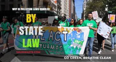 State Pollution Laws: Why Local Control Matters for Environmental Protection