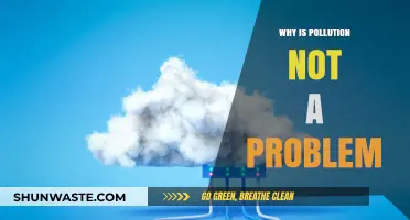 Debunking Myths: Why Pollution Isn't the Problem We Think It Is