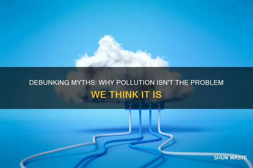 why is pollution not a problem