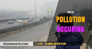 Understanding the Root Causes of Pollution: A Comprehensive Analysis