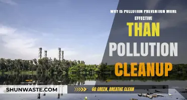 Preventing Pollution: A Smarter, Cost-Effective Alternative to Cleanup Efforts