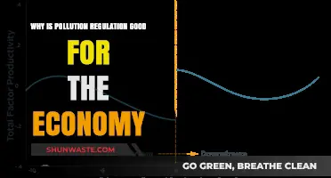 Clean Air, Clear Profits: How Pollution Regulation Boosts Economic Growth