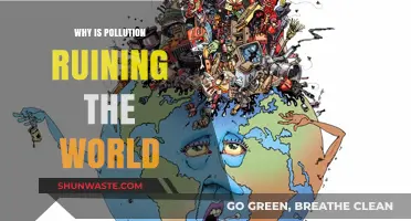 Pollution's Devastating Impact: How It's Destroying Our Planet and Future
