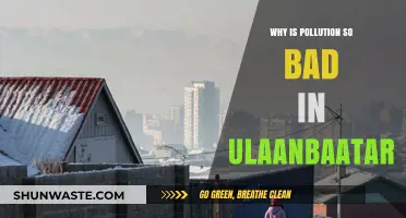 Ulaanbaatar's Smog Crisis: Uncovering the Causes of Severe Pollution