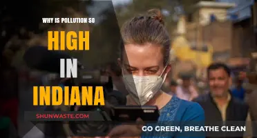 Indiana's Pollution Crisis: Uncovering the Causes of High Pollution Levels