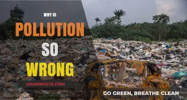 The Devastating Impact of Pollution: Why It's a Global Crisis