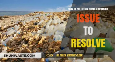 The Persistent Challenge: Why Pollution Remains a Complex Global Crisis