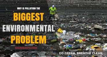 Pollution's Devastating Impact: The Biggest Environmental Crisis We Face