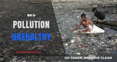 Pollution's Hidden Dangers: How It Harms Our Health and Environment