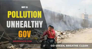 Why Pollution Harms Health: Government Insights on Environmental Risks