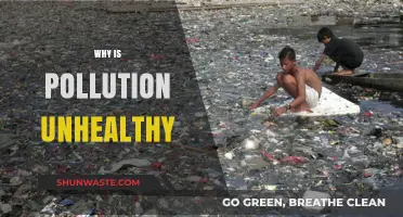 Pollution's Hidden Dangers: How It Harms Our Health and Environment